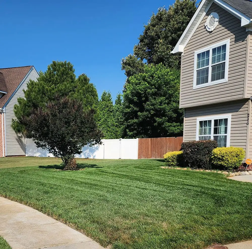 A. Manuel Landscaping providing professional landscaping services
